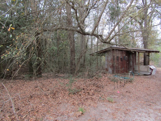 See Remarks, Alabama N/A, 3 Bedrooms Bedrooms, ,2 BathroomsBathrooms,Residential,For Sale,County Road 10,867268