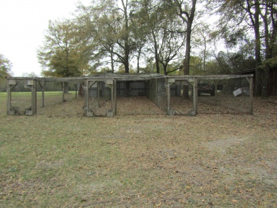 See Remarks, Alabama N/A, 3 Bedrooms Bedrooms, ,2 BathroomsBathrooms,Residential,For Sale,County Road 10,867268