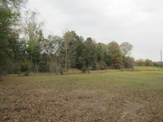 See Remarks, Alabama N/A, 3 Bedrooms Bedrooms, ,2 BathroomsBathrooms,Residential,For Sale,County Road 10,867268