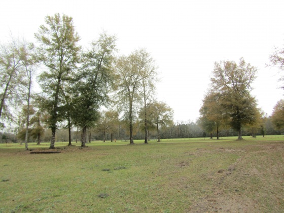 See Remarks, Alabama N/A, 3 Bedrooms Bedrooms, ,2 BathroomsBathrooms,Residential,For Sale,County Road 10,867268