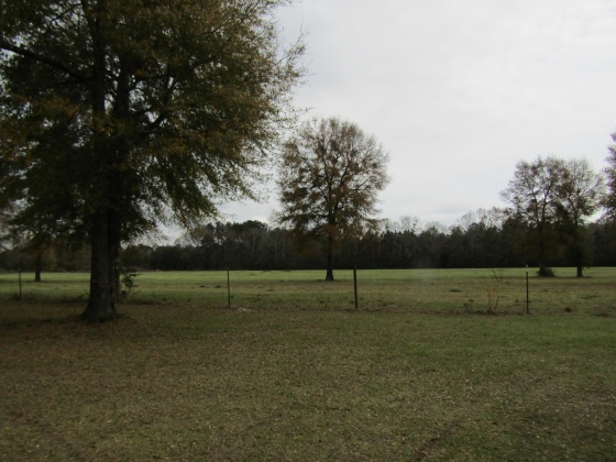 See Remarks, Alabama N/A, 3 Bedrooms Bedrooms, ,2 BathroomsBathrooms,Residential,For Sale,County Road 10,867268