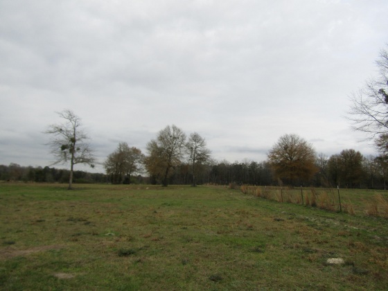 See Remarks, Alabama N/A, 3 Bedrooms Bedrooms, ,2 BathroomsBathrooms,Residential,For Sale,County Road 10,867268