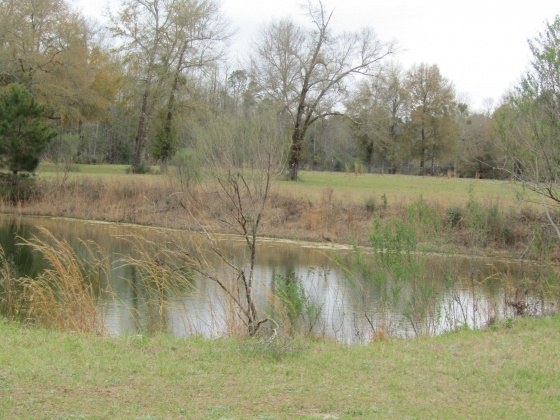 See Remarks, Alabama N/A, 3 Bedrooms Bedrooms, ,2 BathroomsBathrooms,Residential,For Sale,County Road 10,867268