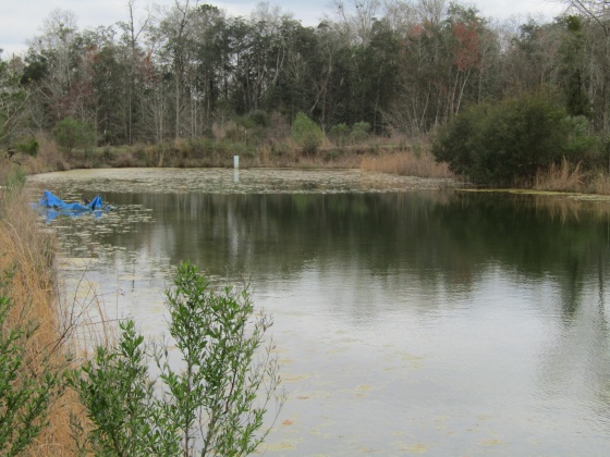 See Remarks, Alabama N/A, 3 Bedrooms Bedrooms, ,2 BathroomsBathrooms,Residential,For Sale,County Road 10,867268