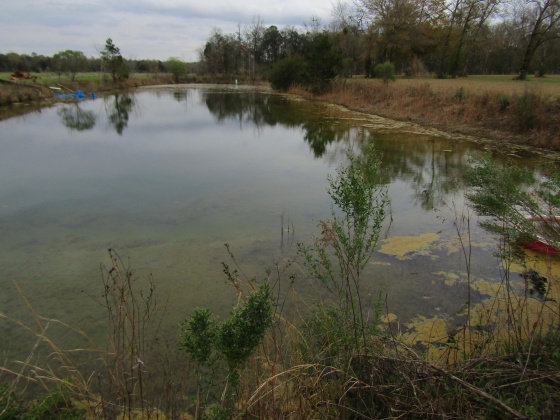 See Remarks, Alabama N/A, 3 Bedrooms Bedrooms, ,2 BathroomsBathrooms,Residential,For Sale,County Road 10,867268