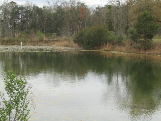 See Remarks, Alabama N/A, 3 Bedrooms Bedrooms, ,2 BathroomsBathrooms,Residential,For Sale,County Road 10,867268