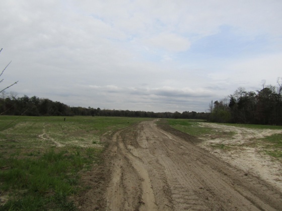 See Remarks, Alabama N/A, 3 Bedrooms Bedrooms, ,2 BathroomsBathrooms,Residential,For Sale,County Road 10,867268