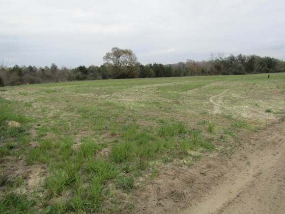 See Remarks, Alabama N/A, 3 Bedrooms Bedrooms, ,2 BathroomsBathrooms,Residential,For Sale,County Road 10,867268