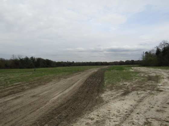 See Remarks, Alabama N/A, 3 Bedrooms Bedrooms, ,2 BathroomsBathrooms,Residential,For Sale,County Road 10,867268