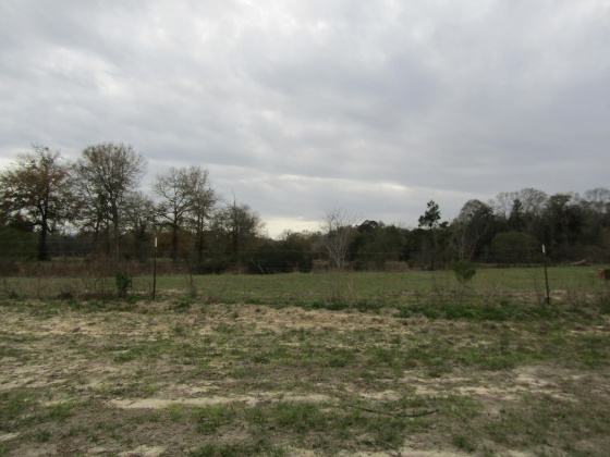 See Remarks, Alabama N/A, 3 Bedrooms Bedrooms, ,2 BathroomsBathrooms,Residential,For Sale,County Road 10,867268