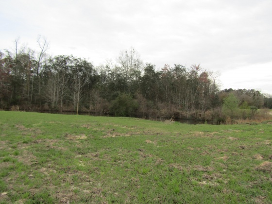 See Remarks, Alabama N/A, 3 Bedrooms Bedrooms, ,2 BathroomsBathrooms,Residential,For Sale,County Road 10,867268