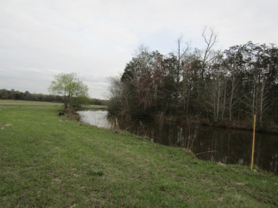 See Remarks, Alabama N/A, 3 Bedrooms Bedrooms, ,2 BathroomsBathrooms,Residential,For Sale,County Road 10,867268