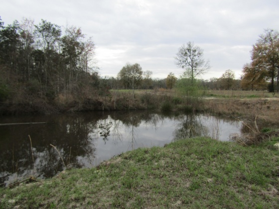 See Remarks, Alabama N/A, 3 Bedrooms Bedrooms, ,2 BathroomsBathrooms,Residential,For Sale,County Road 10,867268