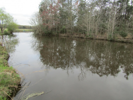 See Remarks, Alabama N/A, 3 Bedrooms Bedrooms, ,2 BathroomsBathrooms,Residential,For Sale,County Road 10,867268