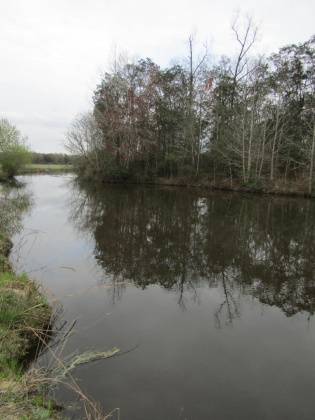 See Remarks, Alabama N/A, 3 Bedrooms Bedrooms, ,2 BathroomsBathrooms,Residential,For Sale,County Road 10,867268