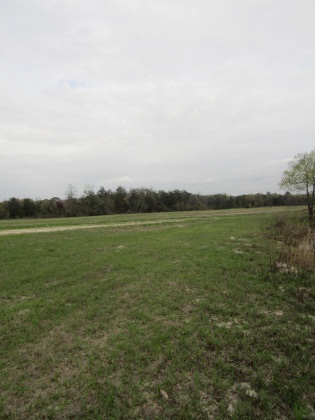 See Remarks, Alabama N/A, 3 Bedrooms Bedrooms, ,2 BathroomsBathrooms,Residential,For Sale,County Road 10,867268