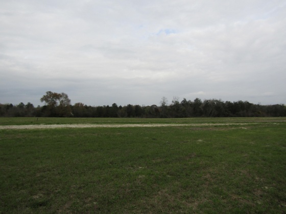 See Remarks, Alabama N/A, 3 Bedrooms Bedrooms, ,2 BathroomsBathrooms,Residential,For Sale,County Road 10,867268