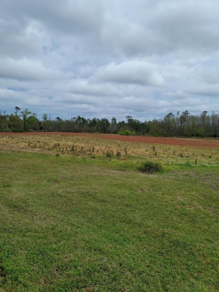 Other, Florida N/A, 3 Bedrooms Bedrooms, ,2 BathroomsBathrooms,Residential,For Sale,Roark,867309