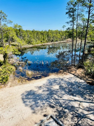 Santa Rosa Beach, Florida 32459, 5 Bedrooms Bedrooms, ,7 BathroomsBathrooms,Residential,For Sale,Spotted Dolphin,867344