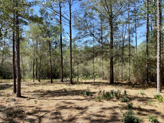 Defuniak Springs, Florida 32433, ,Land,For Sale,Brookside,867375
