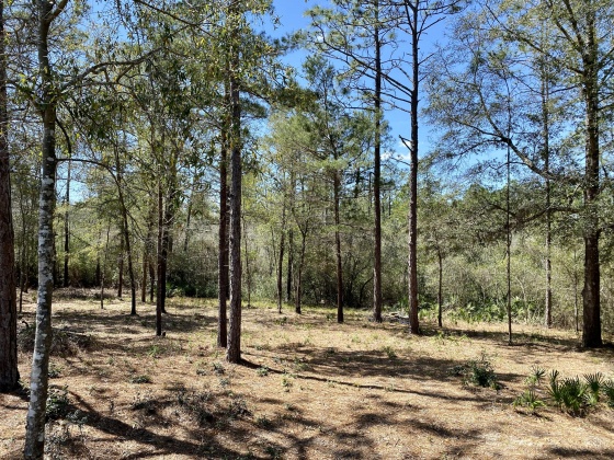 Defuniak Springs, Florida 32433, ,Land,For Sale,Brookside,867375