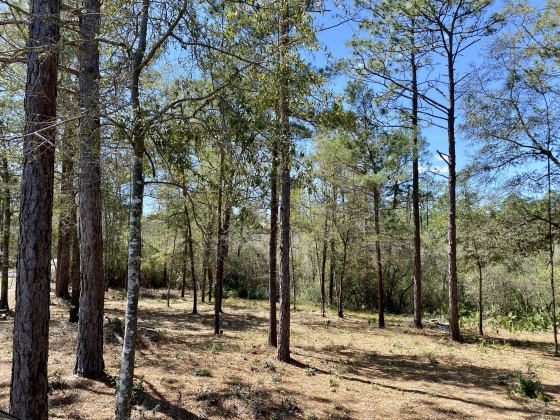 Defuniak Springs, Florida 32433, ,Land,For Sale,Brookside,867375