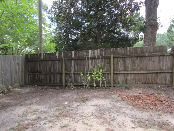 Defuniak Springs, Florida 32433, ,Land,For Sale,Landing,853726