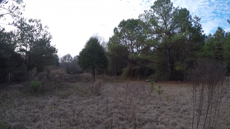 Laurel Hill, Florida 32567, ,Land,For Sale,Windy Hill,867405