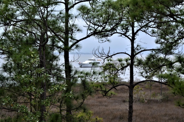 Miramar Beach, Florida 32550, 2 Bedrooms Bedrooms, ,3 BathroomsBathrooms,Residential,For Sale,Grand Sandestin,867426
