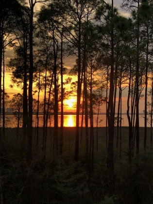 Miramar Beach, Florida 32550, 2 Bedrooms Bedrooms, ,3 BathroomsBathrooms,Residential,For Sale,Grand Sandestin,867426