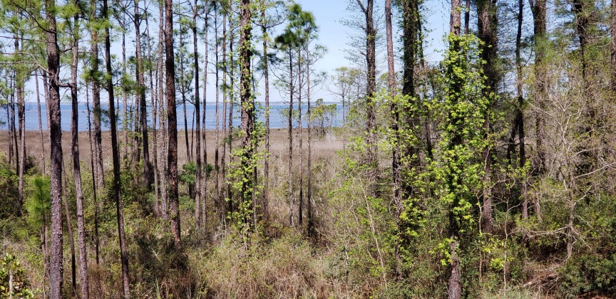 Miramar Beach, Florida 32550, 2 Bedrooms Bedrooms, ,3 BathroomsBathrooms,Residential,For Sale,Grand Sandestin,867426