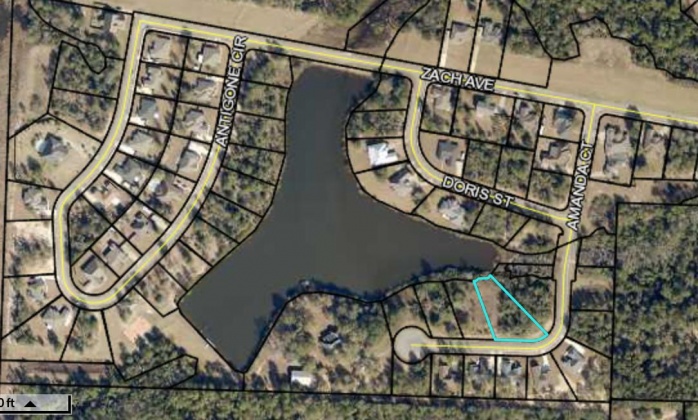 Crestview, Florida 32536, ,Land,For Sale,Amanda,867508