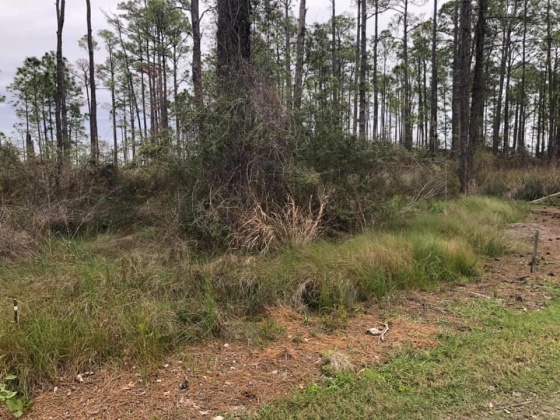 Santa Rosa Beach, Florida 32459, ,Land,For Sale,Whispering Shore,867509