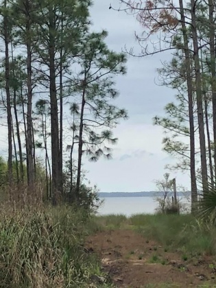 Santa Rosa Beach, Florida 32459, ,Land,For Sale,Whispering Shore,867509
