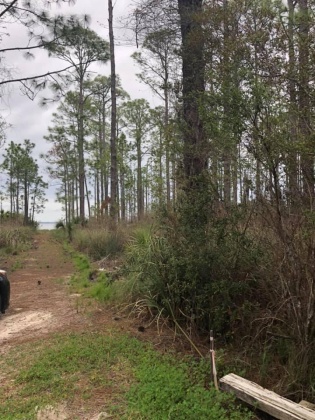 Santa Rosa Beach, Florida 32459, ,Land,For Sale,Whispering Shore,867509