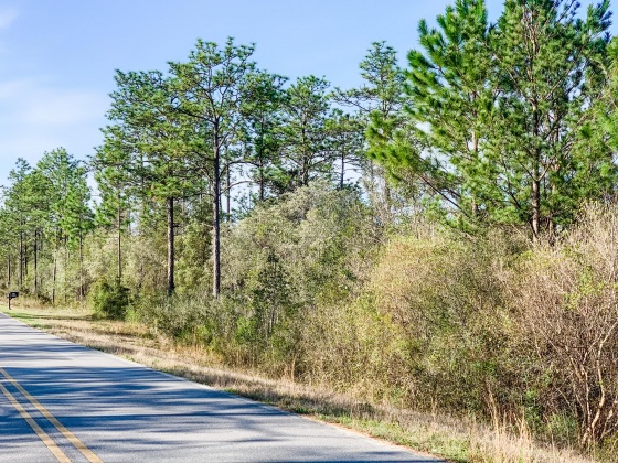 Defuniak Springs, Florida 32433, ,Land,For Sale,Blue Ridge,867521