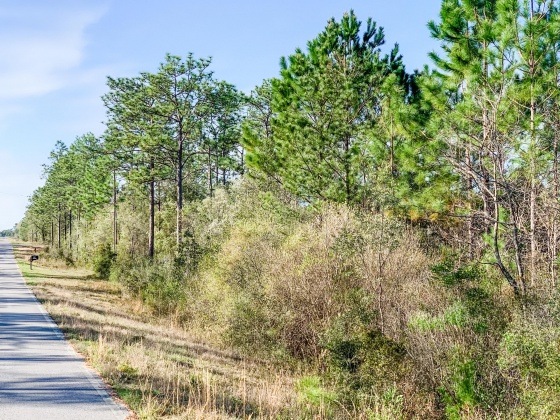 Defuniak Springs, Florida 32433, ,Land,For Sale,Blue Ridge,867521