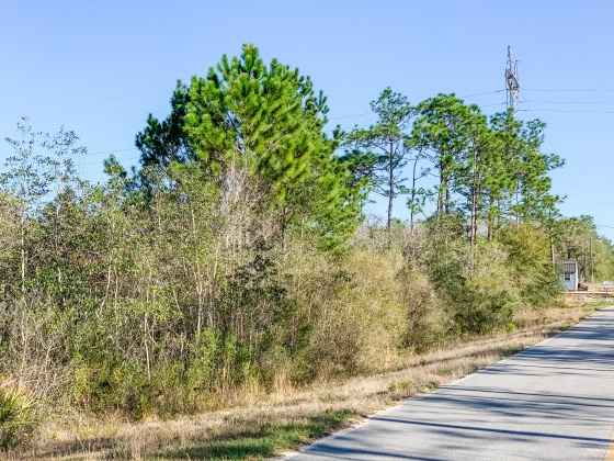 Defuniak Springs, Florida 32433, ,Land,For Sale,Blue Ridge,867521