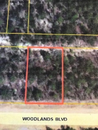 Mossy Head, Florida 32434, ,Land,For Sale,WOODLANDS,867600