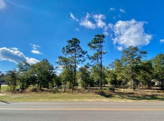 Defuniak Springs, Florida 32433, ,Commercial for Sale,For Sale,Lancelot,867684