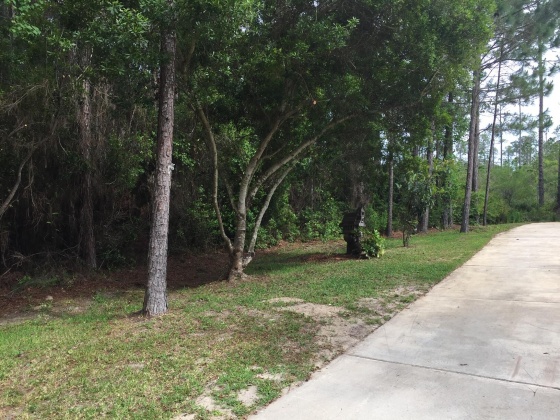 Santa Rosa Beach, Florida 32459, 4 Bedrooms Bedrooms, ,2 BathroomsBathrooms,Residential,For Sale,Calm Gulf,866156