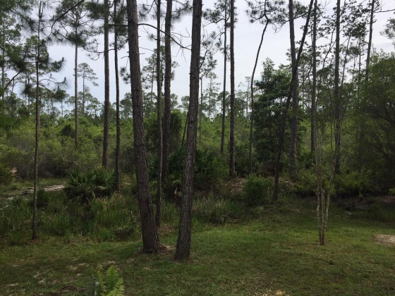 Santa Rosa Beach, Florida 32459, 4 Bedrooms Bedrooms, ,2 BathroomsBathrooms,Residential,For Sale,Calm Gulf,866156