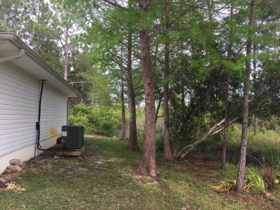 Santa Rosa Beach, Florida 32459, 4 Bedrooms Bedrooms, ,2 BathroomsBathrooms,Residential,For Sale,Calm Gulf,866156