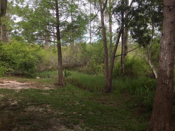 Santa Rosa Beach, Florida 32459, 4 Bedrooms Bedrooms, ,2 BathroomsBathrooms,Residential,For Sale,Calm Gulf,866156