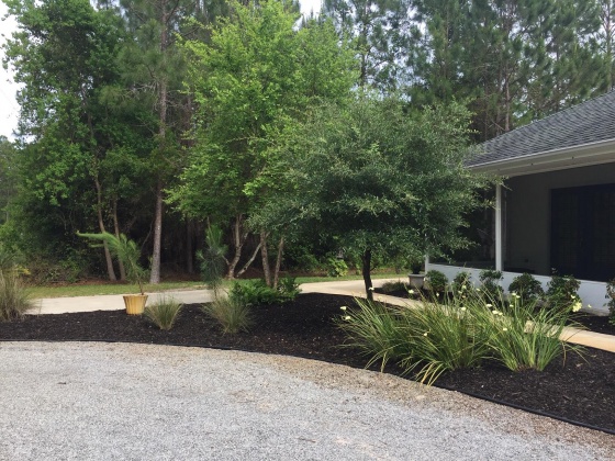 Santa Rosa Beach, Florida 32459, 4 Bedrooms Bedrooms, ,2 BathroomsBathrooms,Residential,For Sale,Calm Gulf,866156