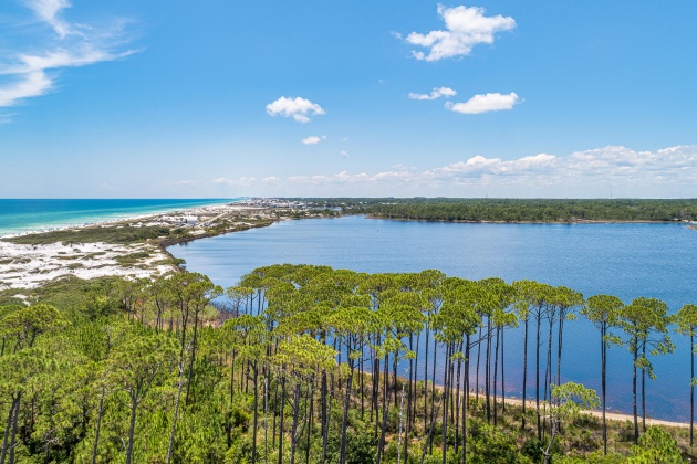 Santa Rosa Beach, Florida 32459, 4 Bedrooms Bedrooms, ,4 BathroomsBathrooms,Residential,For Sale,Spartina,867776