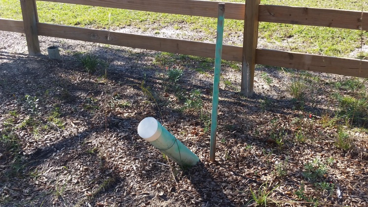 Freeport, Florida 32439, ,Land,For Sale,Goodwin Creek,867810