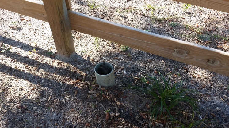 Freeport, Florida 32439, ,Land,For Sale,Goodwin Creek,867810