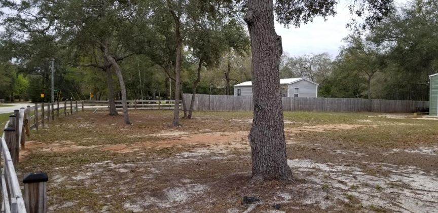 Freeport, Florida 32439, ,Land,For Sale,Goodwin Creek,867810