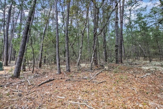 Freeport, Florida 32439, ,Land,For Sale,Garden,867817